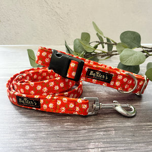 daisy dog accessories