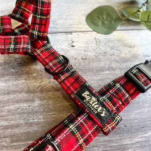 baxters boutique dog harness