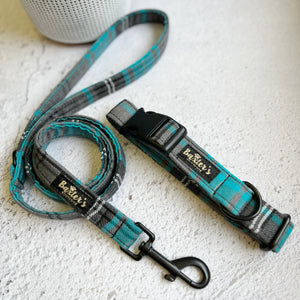 blue plaid collar and leash