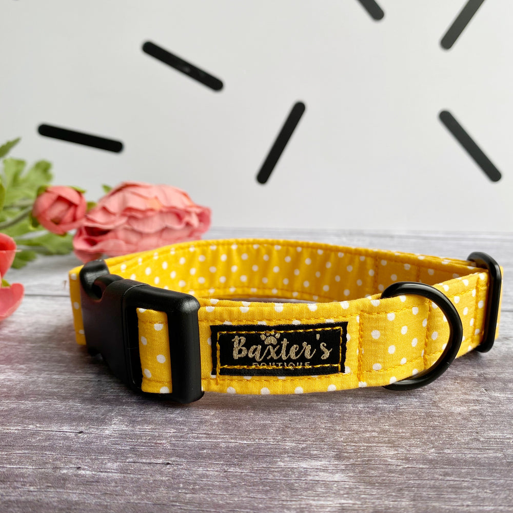 yellow polka dot dog collar
