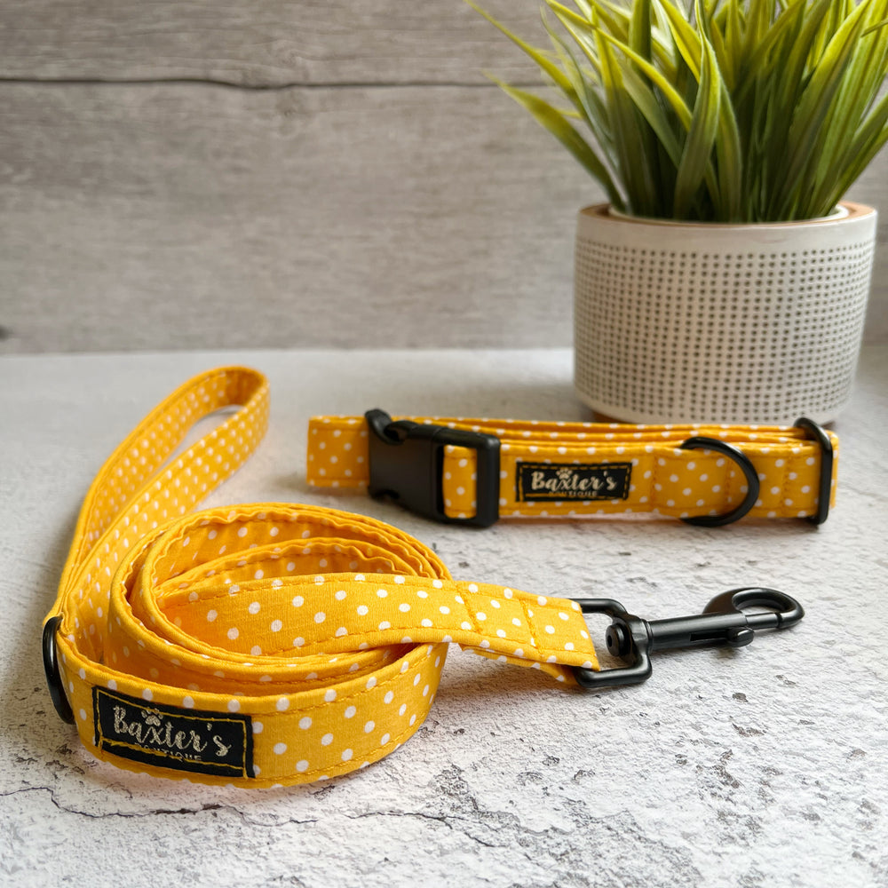 yellow polka dog collar