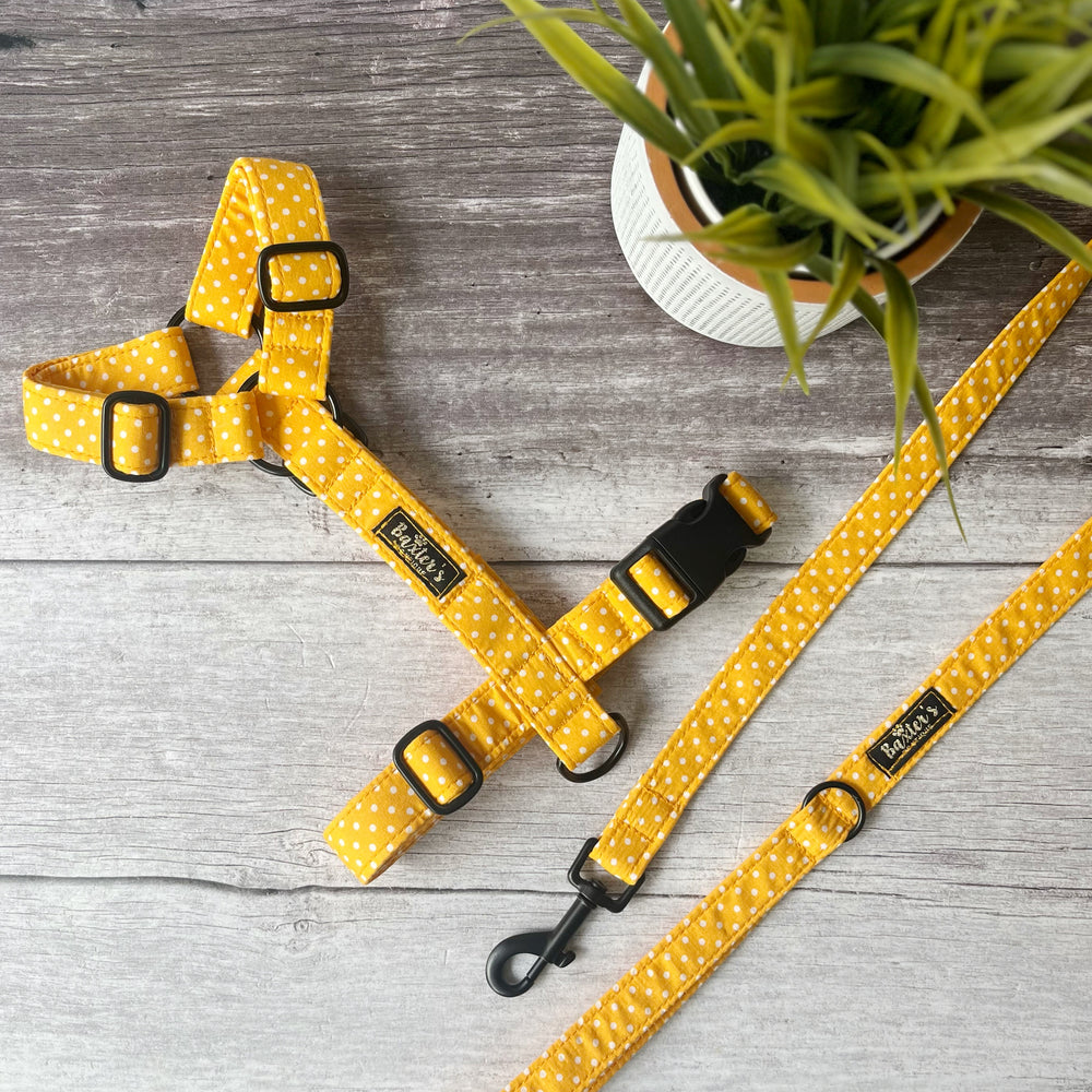 yellow polka dot dog harness