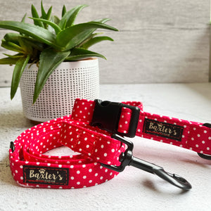 matching dog collar and lead