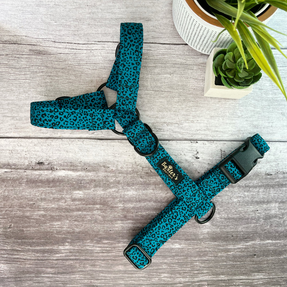baxters boutique dog harness
