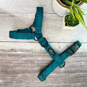 baxters boutique dog harness