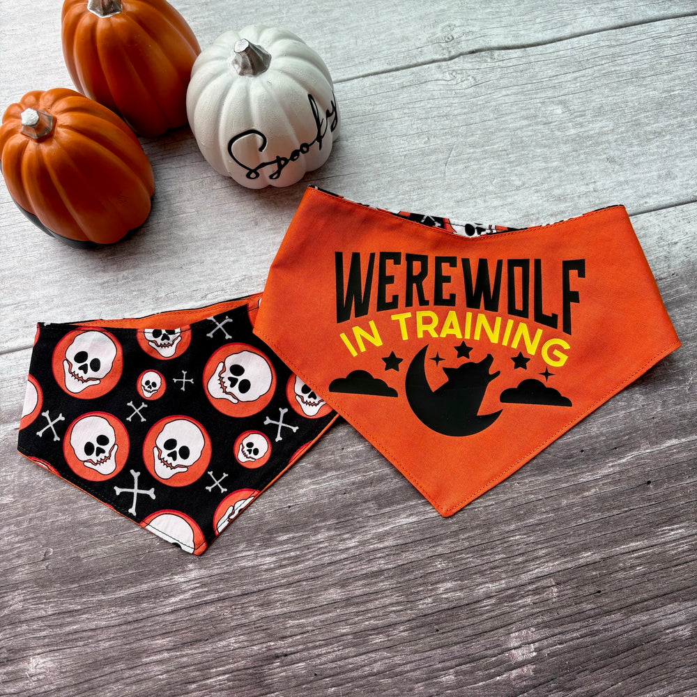 Bandana | HALLOWEEN | Werewolf in Training / Skulls