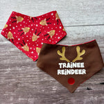 Bandana | Christmas | Trainee Reindeer