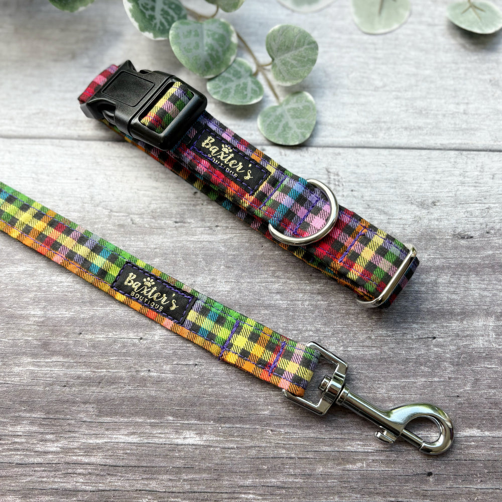 Dog Collar | Fiesta