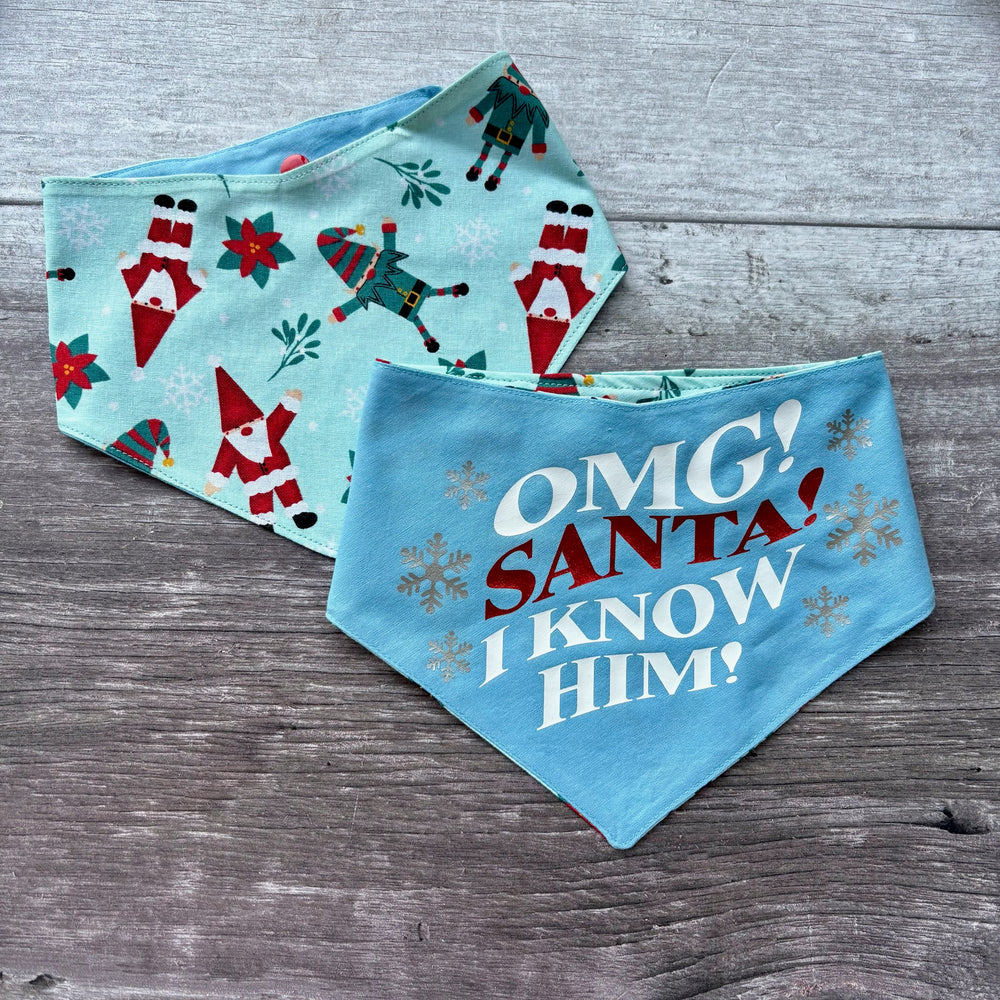 Bandana | Christmas | OMG! Santa! I Know Him!