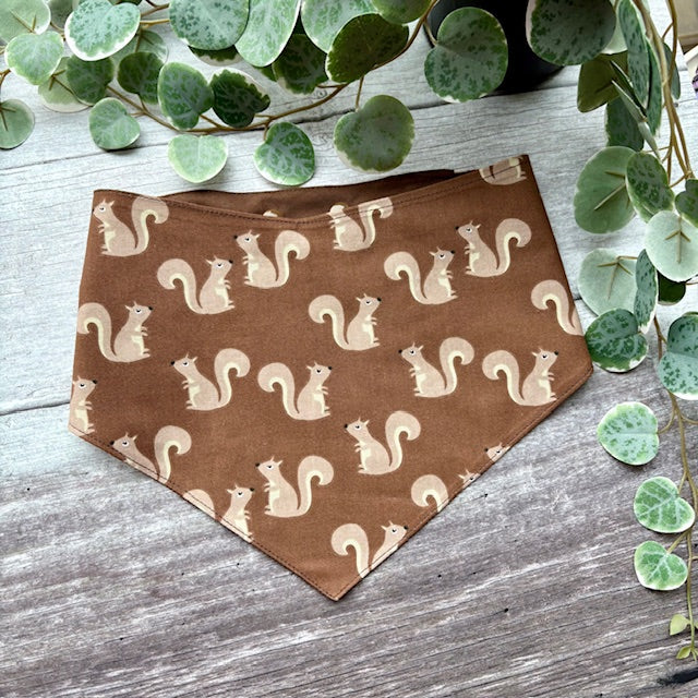 Bandana | Squirrel Patrol