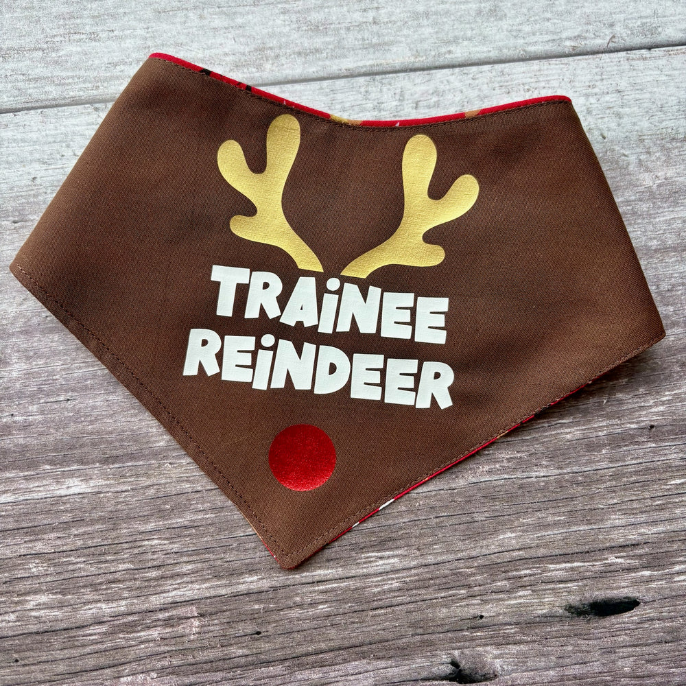Bandana | Christmas | Trainee Reindeer