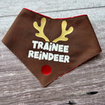 Bandana | Christmas | Trainee Reindeer