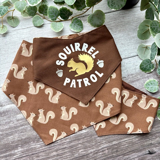 Bandana | Squirrel Patrol