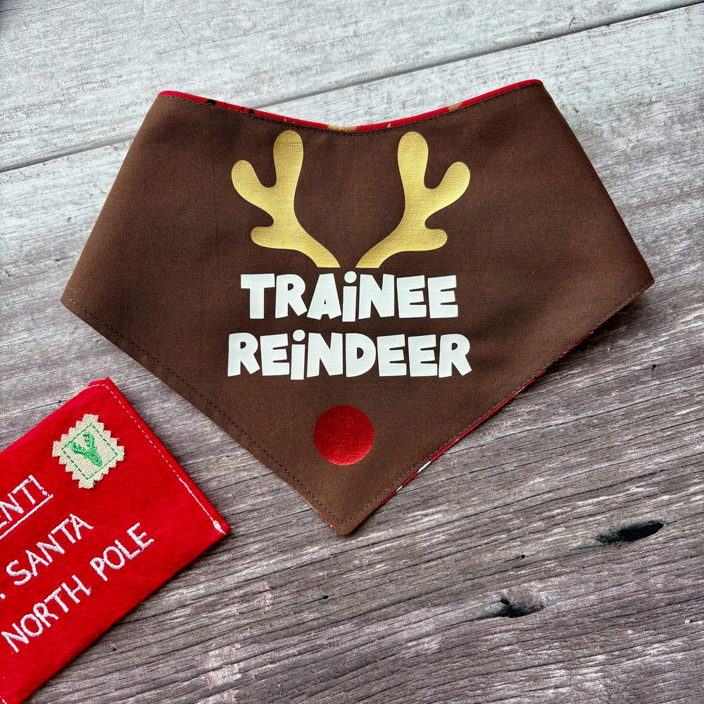 Bandana | Christmas | Trainee Reindeer