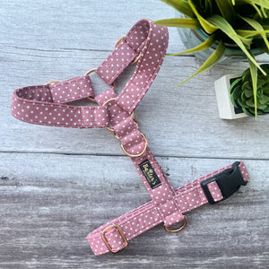 polka dog dog harness