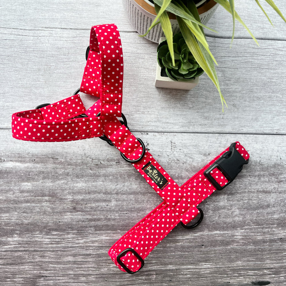 red polka dog harness