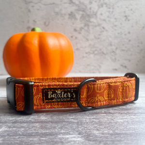 
            
                Load image into Gallery viewer, Dog Collar | Pumpkin Patch
            
        