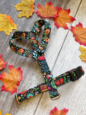 Harness | Otoño