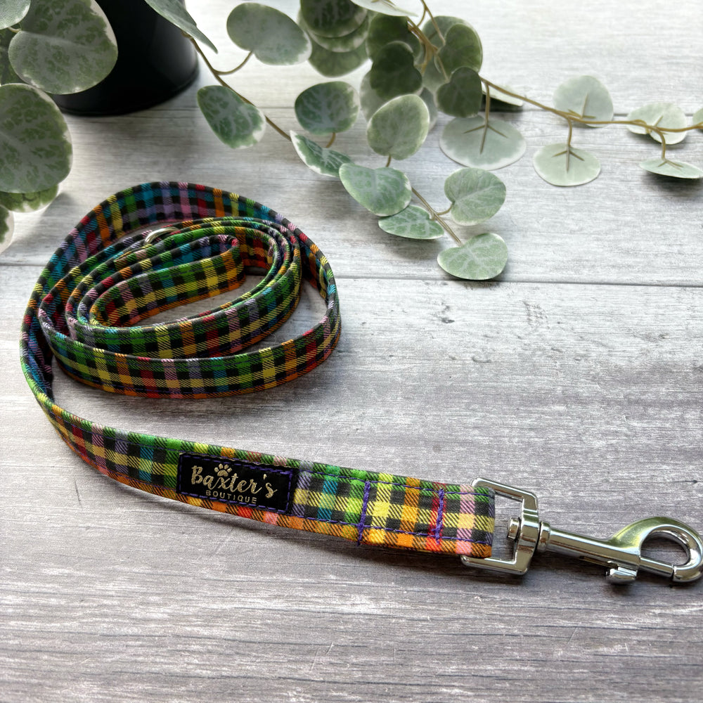 Dog Lead | Fiesta