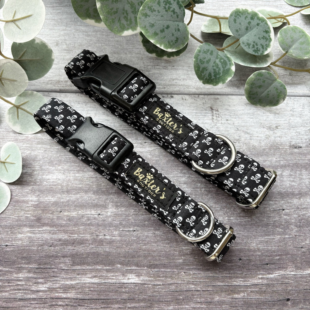 Dog Collar | Walk the Plank