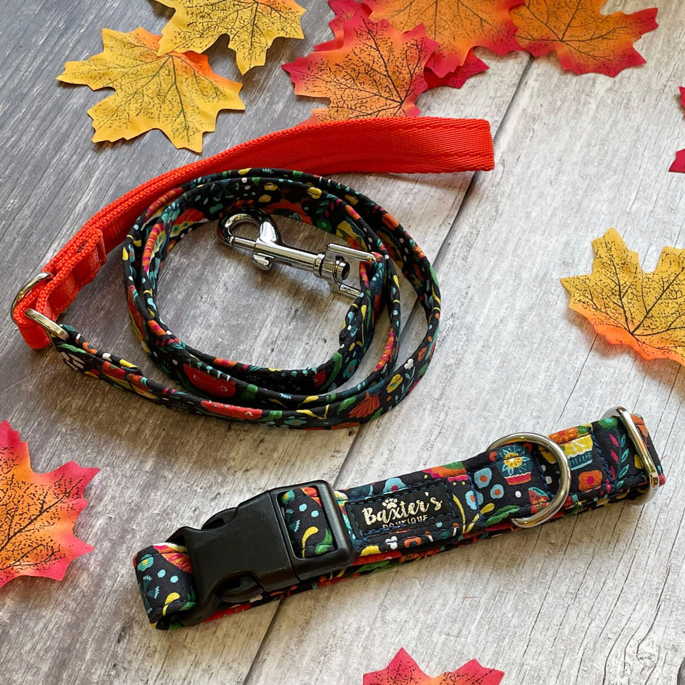 Dog Lead | Otoño