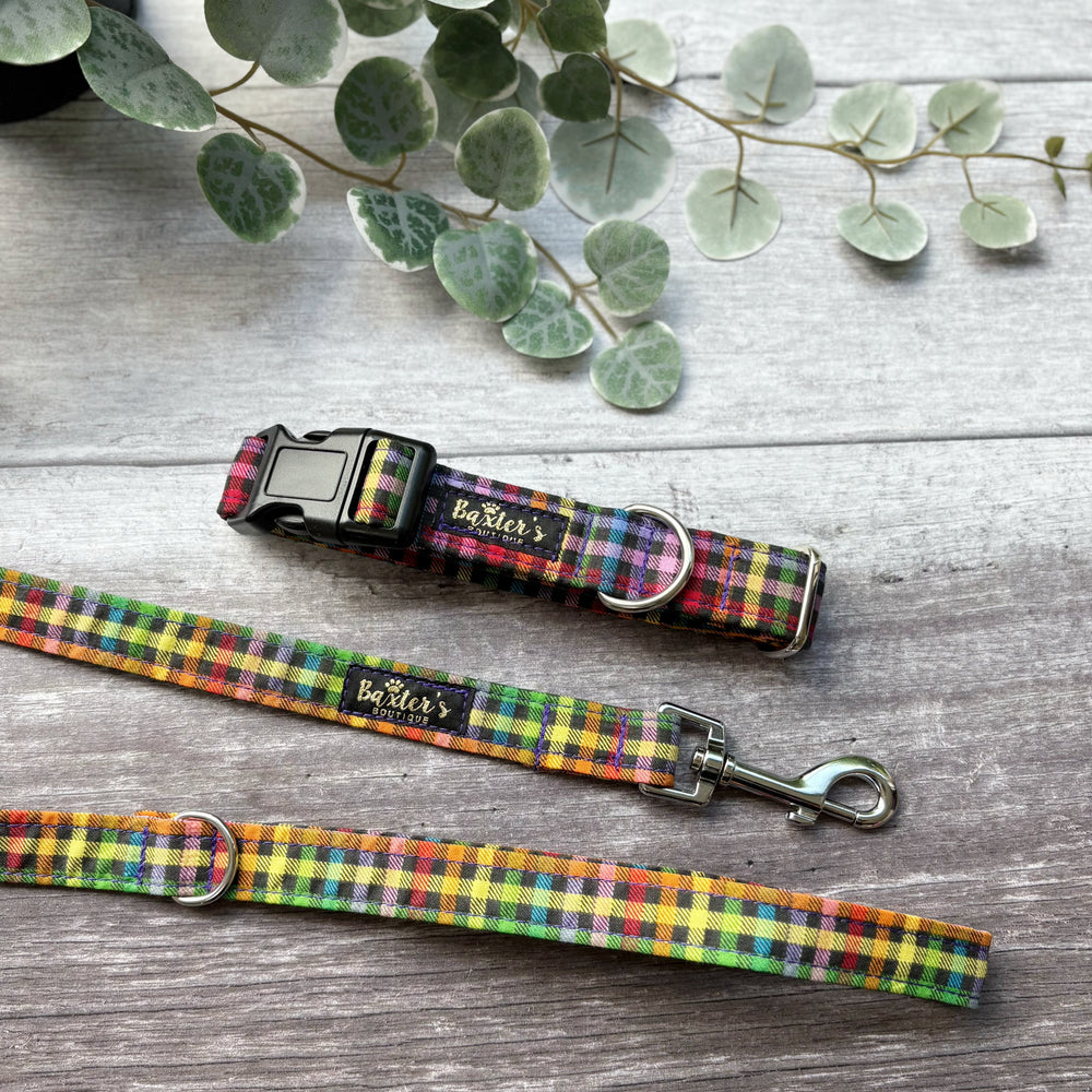 Dog Lead | Fiesta