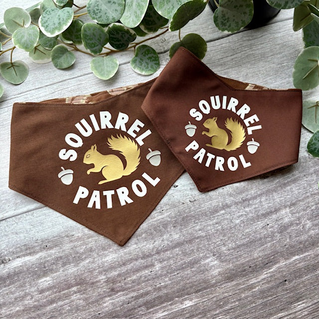 Bandana | Squirrel Patrol