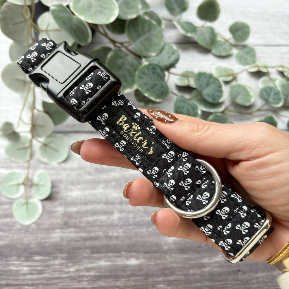 Dog Collar | Walk the Plank