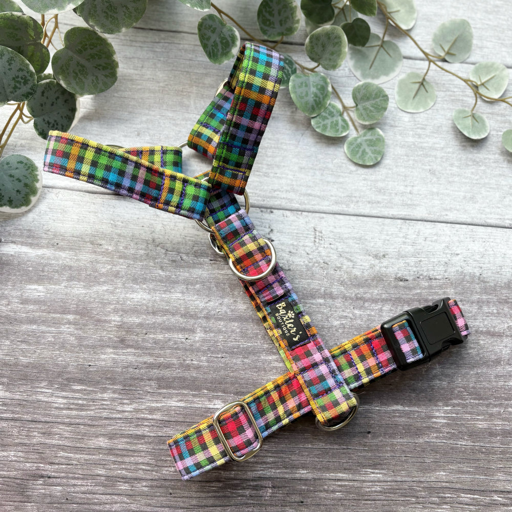 Harness | Fiesta
