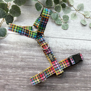 Harness | Fiesta