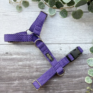 Harness | Purple Polka Dot