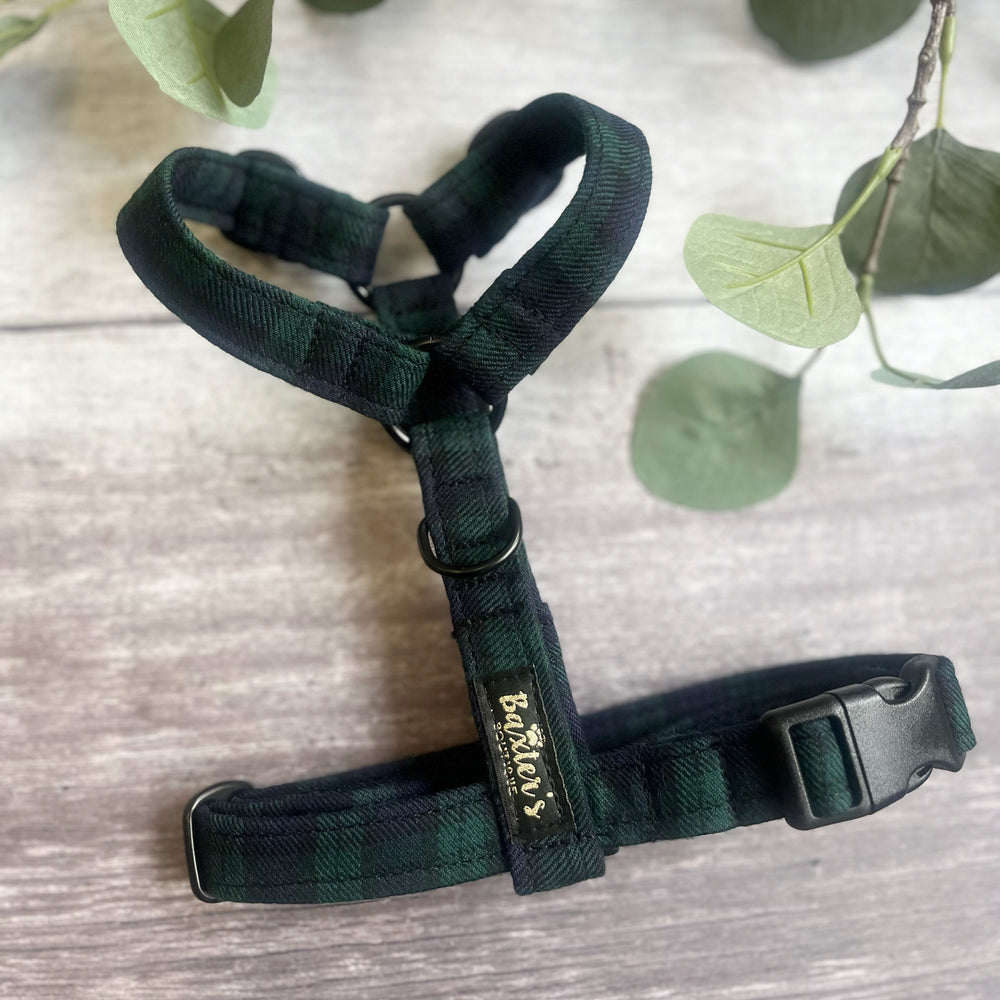 Harness Black Watch Tartan Baxter s Boutique