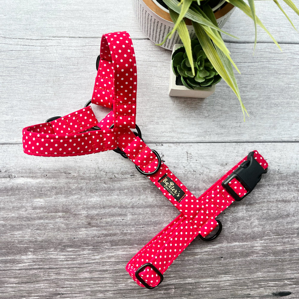 red polka dot dog harness