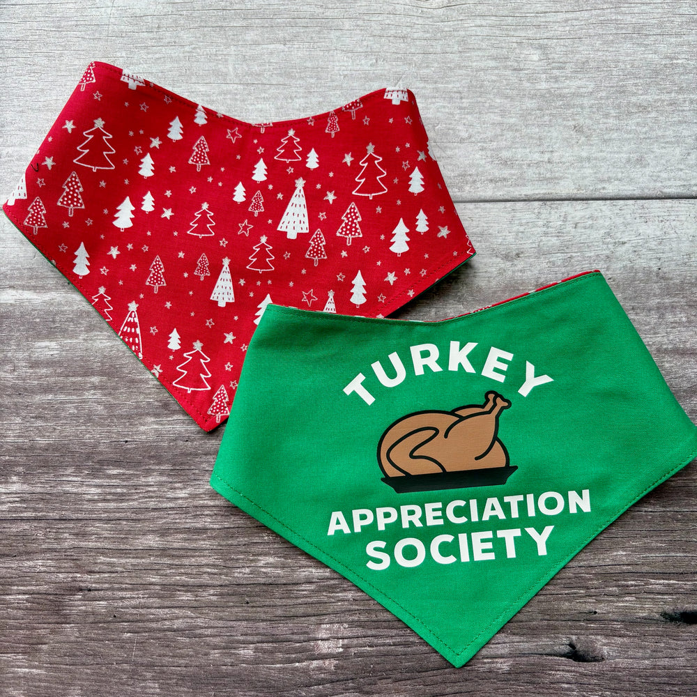 Bandana | Christmas | Turkey Appreciation Society