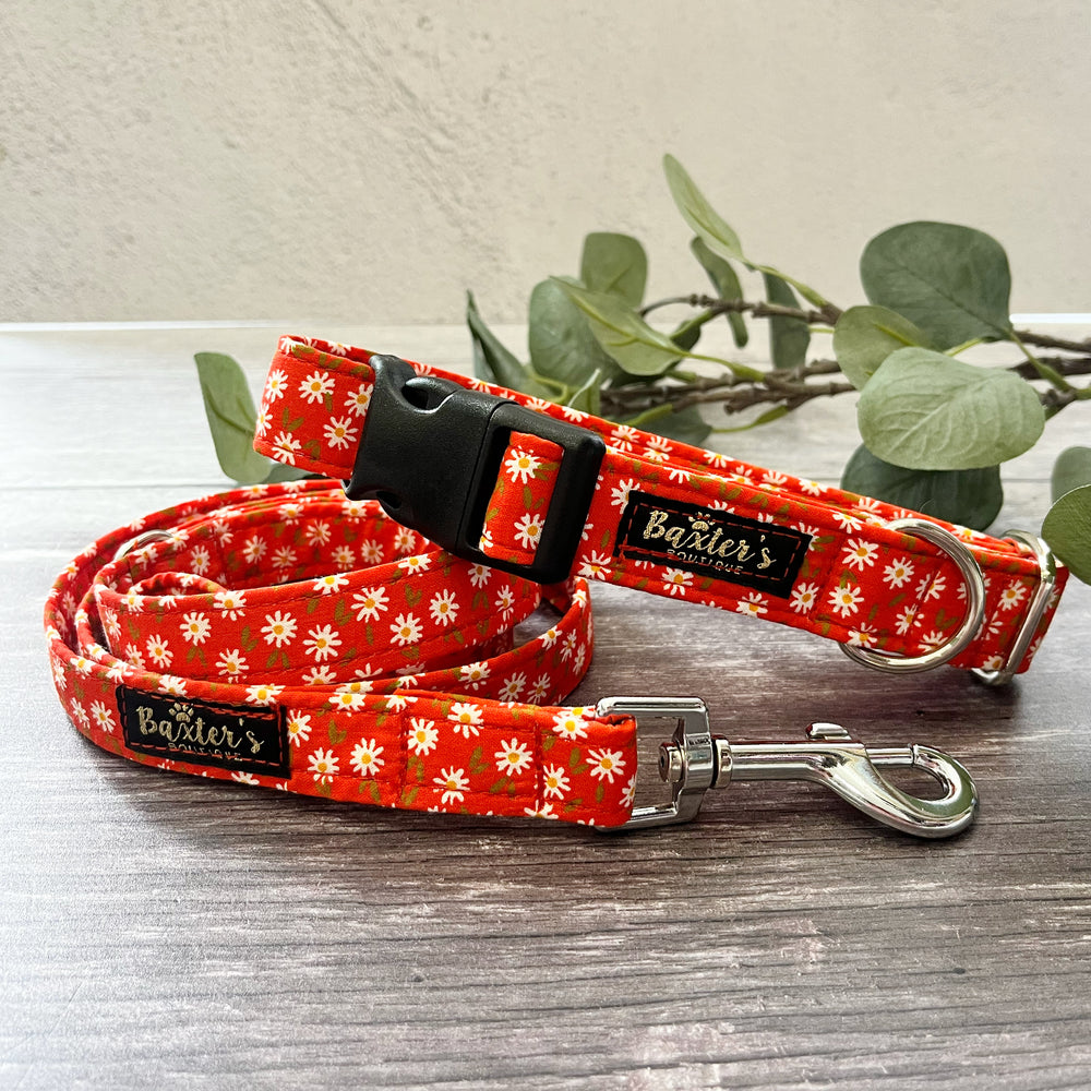 baxters boutique dog lead