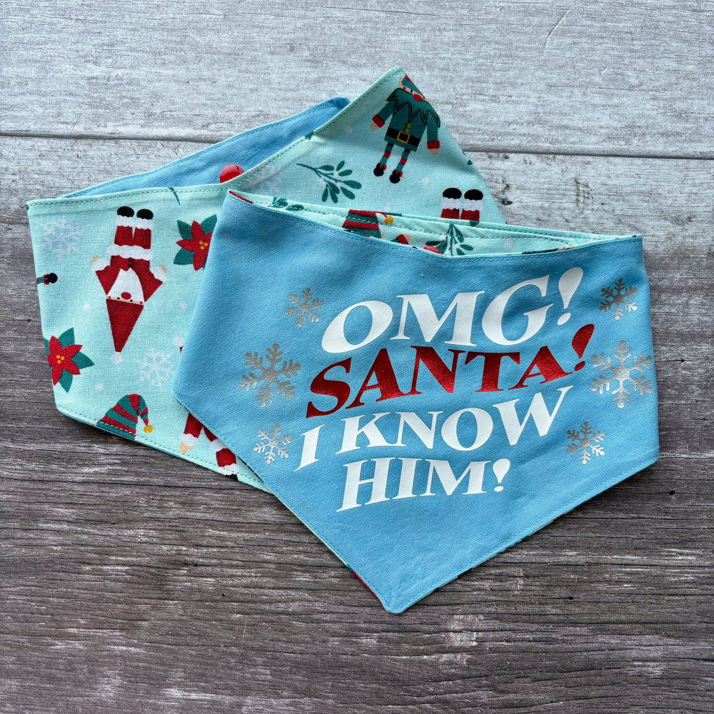 Bandana | Christmas | OMG! Santa! I Know Him!