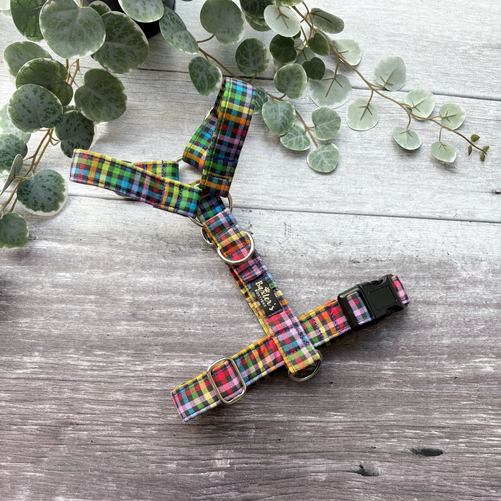 Harness | Fiesta