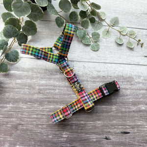 Harness | Fiesta