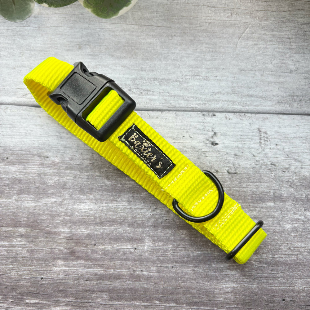 Dog Collar | Bright Yellow | Tuffware – Baxter's Boutique