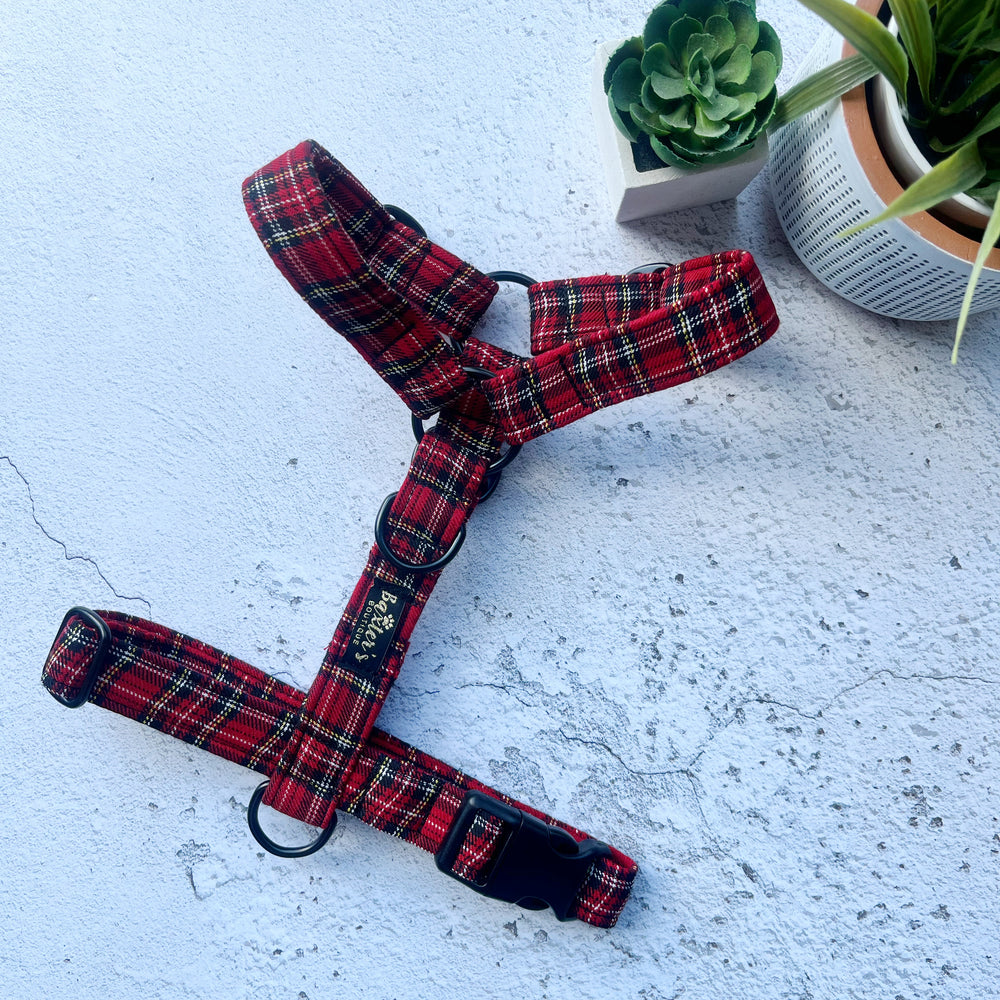 royal stewart dog harness