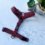 royal stewart dog harness