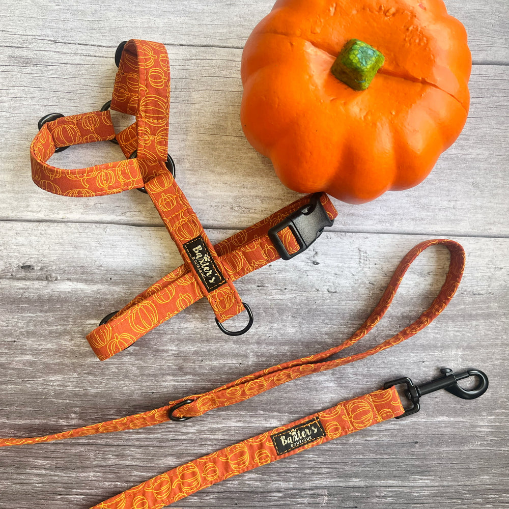
            
                Load image into Gallery viewer, Dog Lead | Pumpkin Patch
            
        