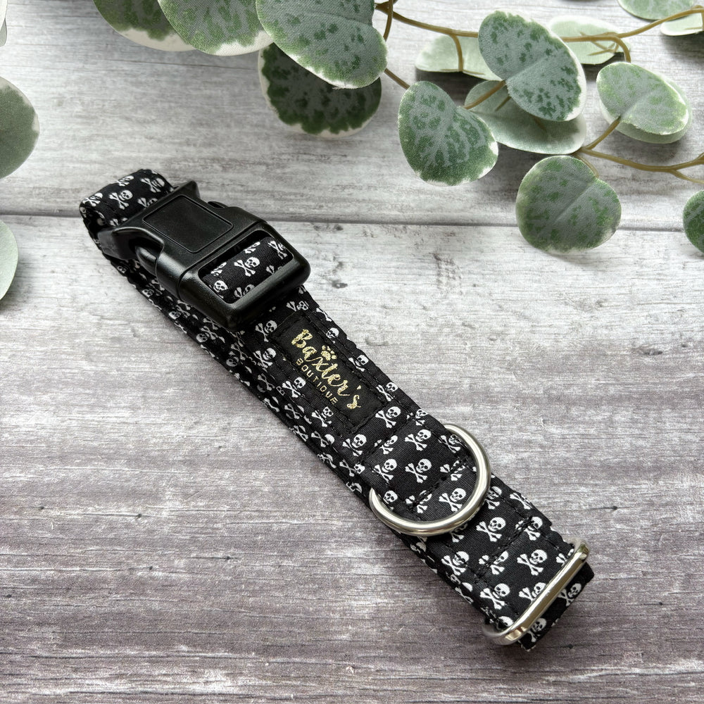 Dog Collar | Walk the Plank