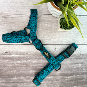 teal leopard dog harness
