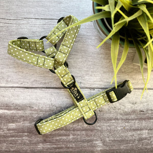pistachio polka dot dog harness