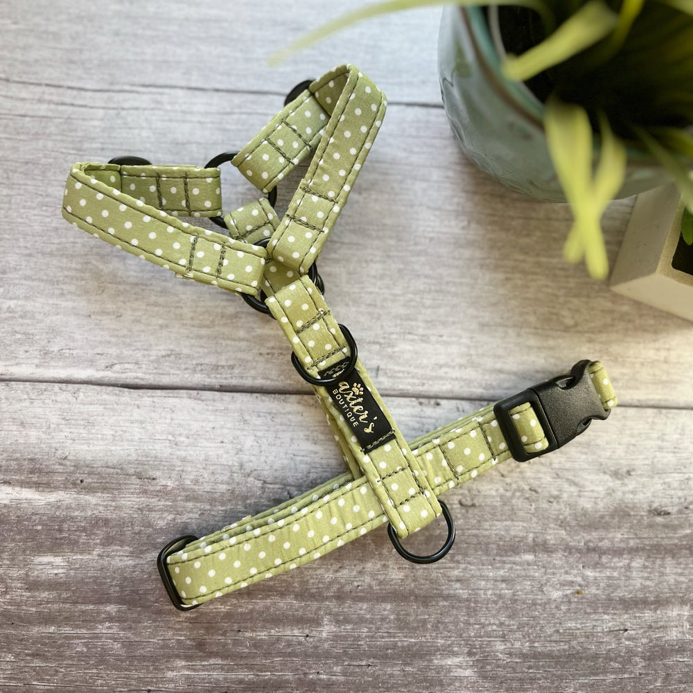 polka dot dog harness
