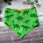 Bandana | Jurassic Bark