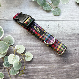 Dog Collar | Fiesta