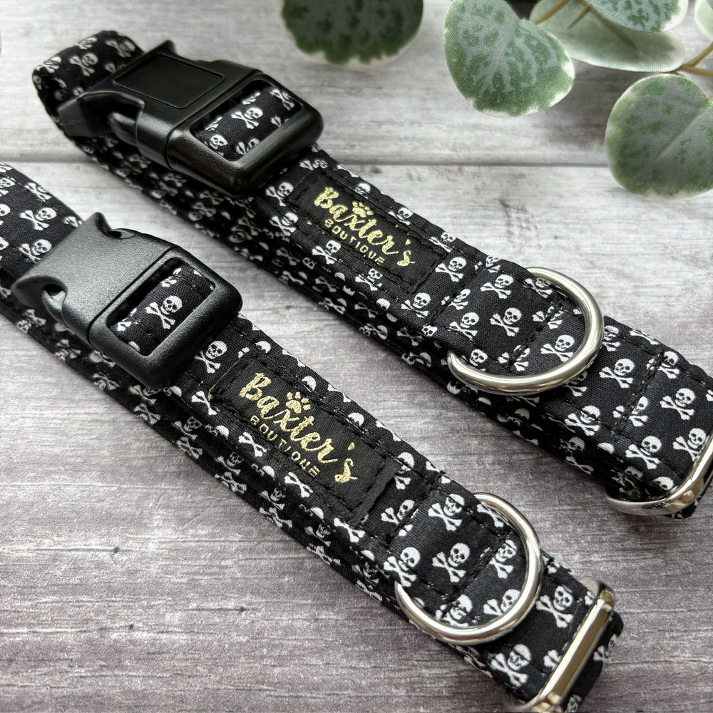 Dog Collar | Walk the Plank