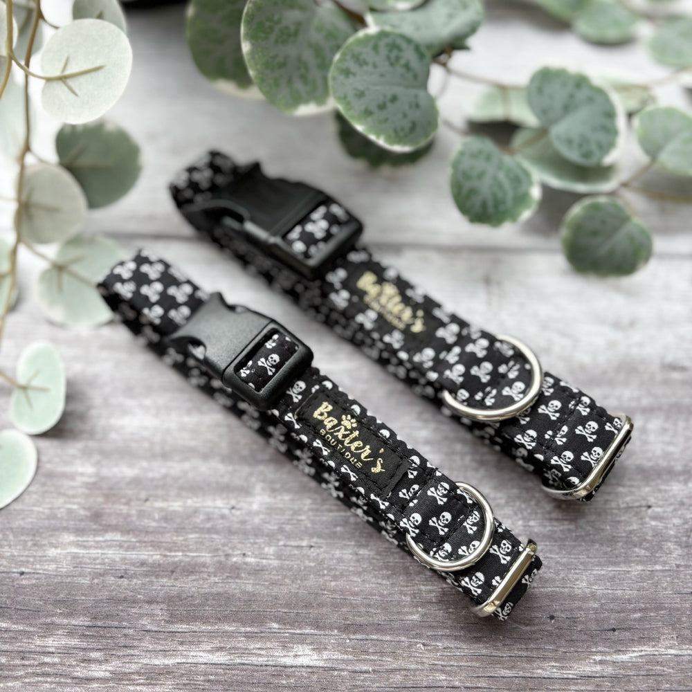 Dog Collar | Walk the Plank